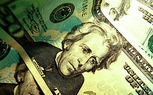 20 U.S. dollar bill HD wallpaper