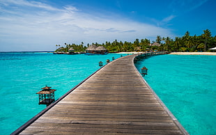 brown wooden bridge dock photography between sea, maldives, constance