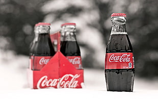 tilt-shift lens photography of coca-cola soda bottle
