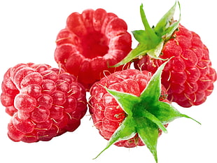 four round red fruits