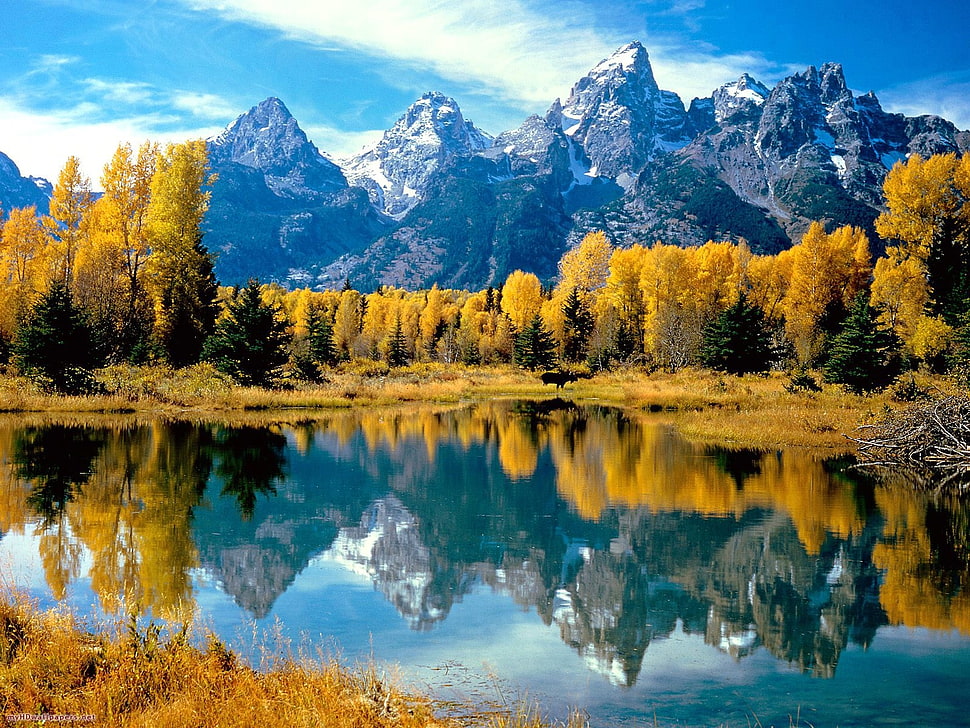 landscape photography of Grand Teton, Wyoming National Park HD wallpaper