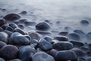 close up photo of pebbles HD wallpaper