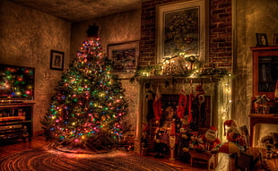 Christmas-themed decors HD wallpaper