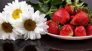 Daisy and strawberries on white ceramic plate