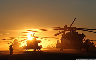 three black helicopters, MH-53 Pave Low, sunlight, helicopters, vehicle