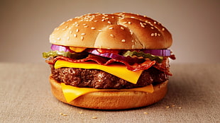 cheese burger, food, burgers, hamburgers, fast food HD wallpaper