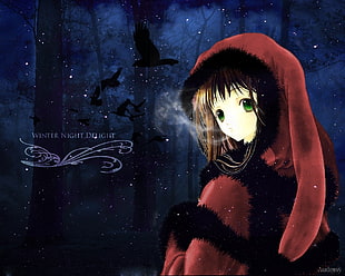 Winter Night Delight anime character