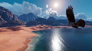 brown bird flying above body of water