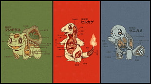 Bulbasaur, Charmander, and Squirtle Pokemon anatomy wallpaper