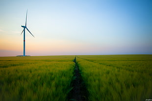 crop field with white windmill