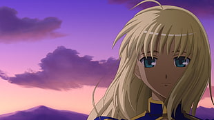 Fate Stay Night Saber illustration