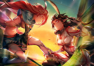 two anime female illustrations HD wallpaper
