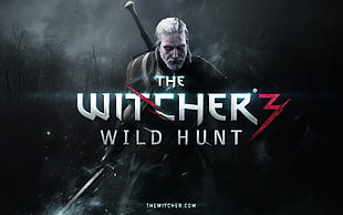 The Witcher 3 Wild Hunt concept art, The Witcher 3: Wild Hunt, The Witcher, video games HD wallpaper
