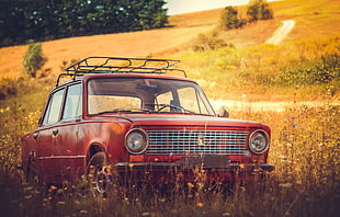red and black single cab pickup truck, red, car, nature, vintage HD wallpaper