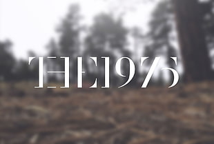 The 1975 text, forest, rock, rock bands, sound