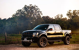 black Ford crew cab pickup truck, car, Ford, Ford f-150, vehicle