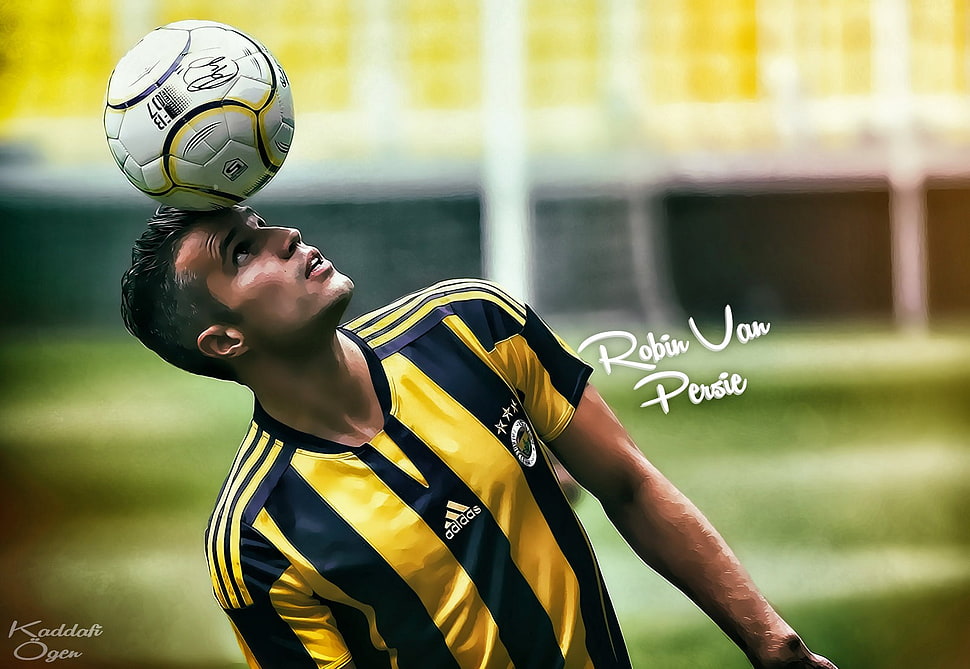 Robin Van Persie photo, Robin van Persie, Fenerbahçe, footballers, soccer HD wallpaper
