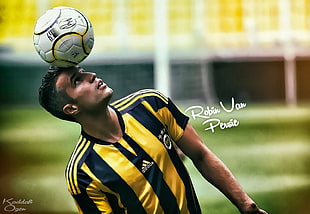 Robin Van Persie photo, Robin van Persie, Fenerbahçe, footballers, soccer HD wallpaper