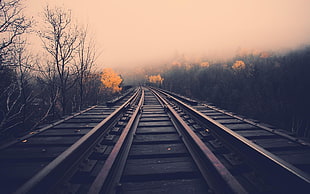 black metal railtrack, railway, mist