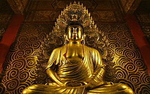 gold-colored Gautama Buddha statue HD wallpaper