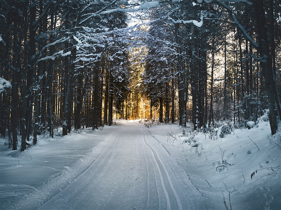 snow on road HD wallpaper
