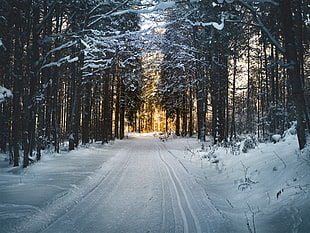 snow on road