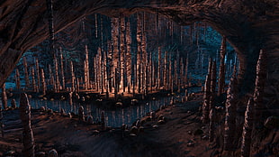 stalagmites cave, Dear Esther, Source Engine, entertainment, video games HD wallpaper
