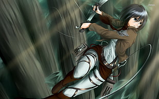 Attack on Titan Mikasa Ackerman wallpaper, Shingeki no Kyojin, Mikasa Ackerman, anime HD wallpaper