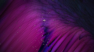 purple and blue topography art, minimalism, digital art HD wallpaper