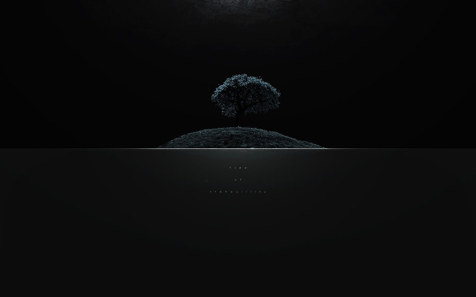 black tree illustration, trees, abstract, typography, digital art HD wallpaper