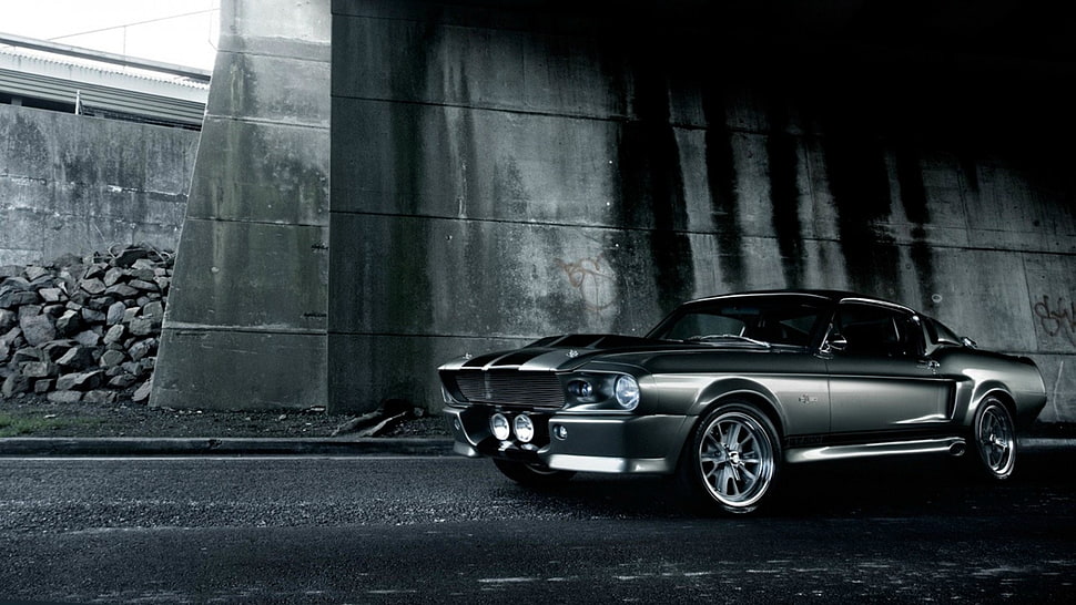 gray Ford Mustang on graytop road HD wallpaper