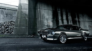 gray Ford Mustang on graytop road HD wallpaper