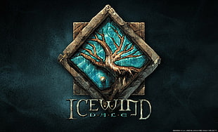 Icewind Dale graphic wallpaper HD wallpaper