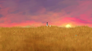 grassland painting, field, sunset, drawing, rabbits