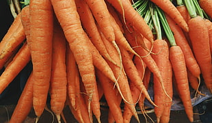 Carrots,  Vegetables,  Many