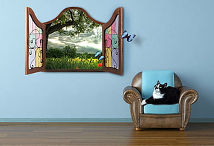 black and white cat on brown and blue leather armchair