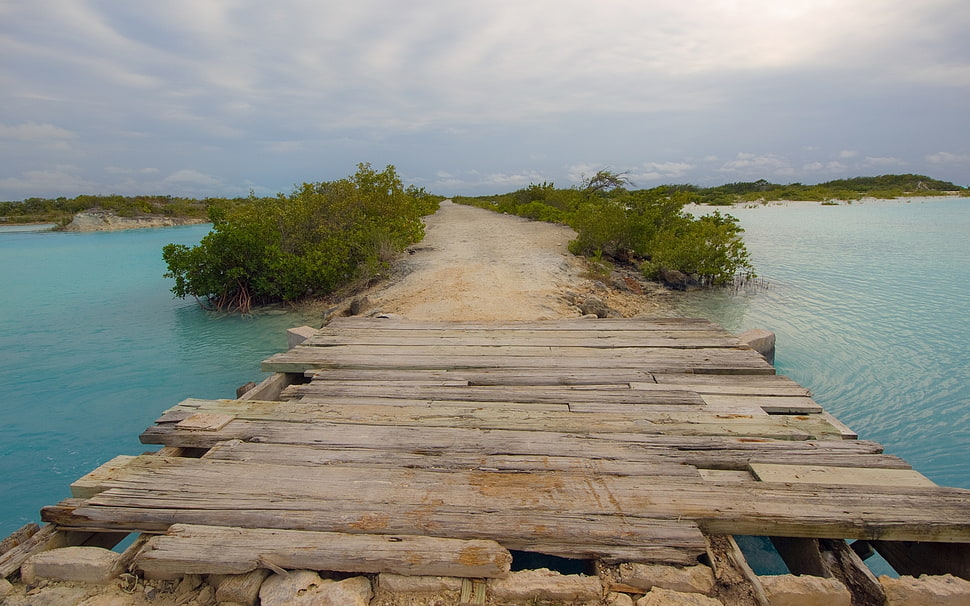 brown wooden dock HD wallpaper