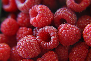 pile of red raspberry HD wallpaper