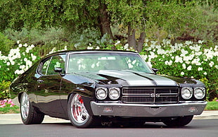 brown muscle car, Chevrolet, Chevrolet Chevelle