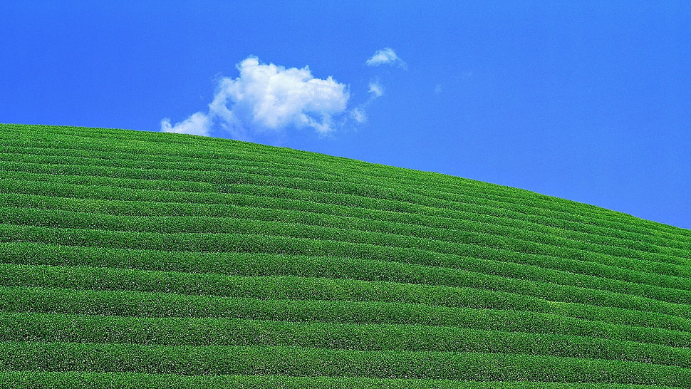 green plain with contour HD wallpaper