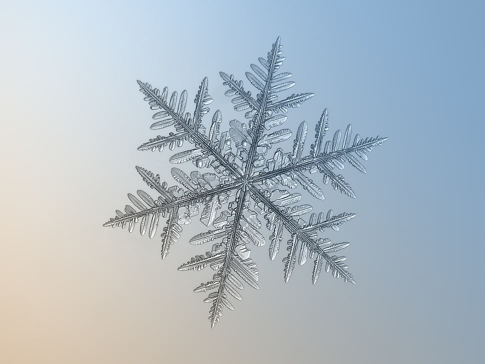 photo of snowflake HD wallpaper