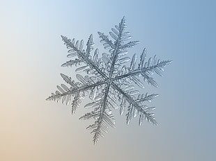 photo of snowflake HD wallpaper