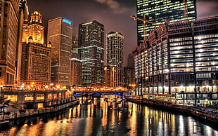 high-rise buildings, cityscape, city, Chicago