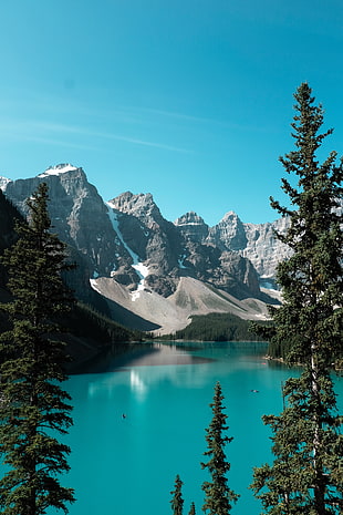 Lakeshore at Canada, nature, mountains, water, trees