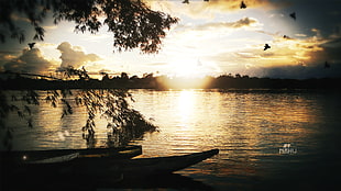 brown canoe, river, nature
