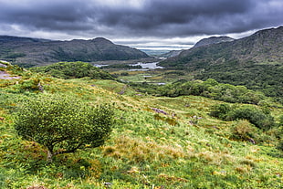 green trees surrounding river leading to mountains photo, ireland HD wallpaper