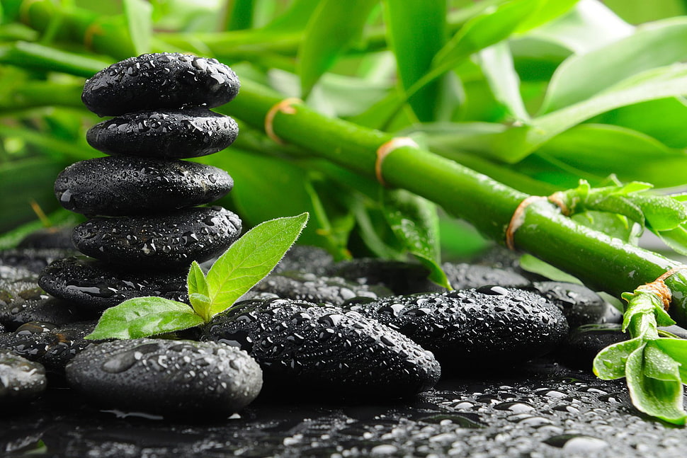 pile of black stone HD wallpaper