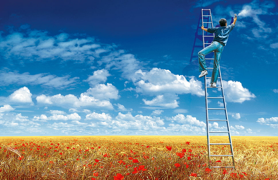 gray ladder and men's blue t-shirt, ladders, landscape, flowers, field HD wallpaper