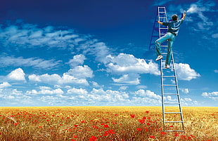 gray ladder and men's blue t-shirt, ladders, landscape, flowers, field