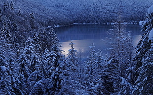 lake aerial view photo, landscape, nature, lake, winter HD wallpaper